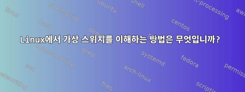 Linux에서 가상 스위치를 이해하는 방법은 무엇입니까?