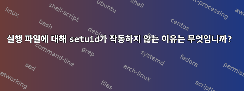 실행 파일에 대해 setuid가 작동하지 않는 이유는 무엇입니까?