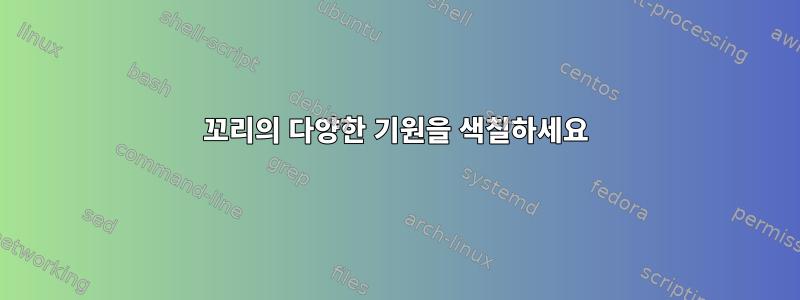 꼬리의 다양한 기원을 색칠하세요