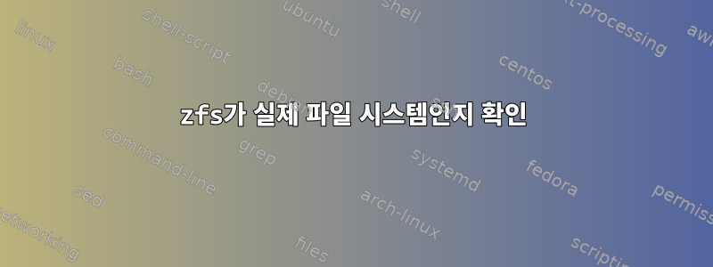 zfs가 실제 파일 시스템인지 확인