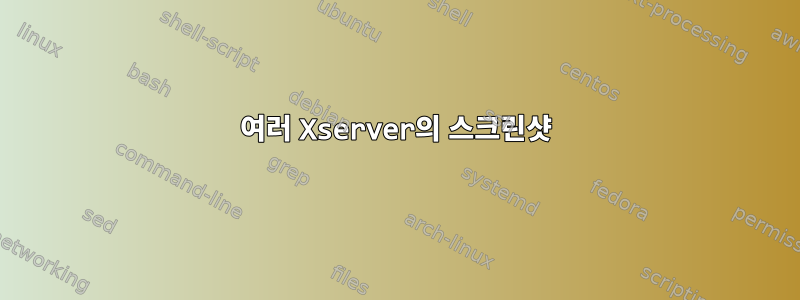 여러 Xserver의 스크린샷