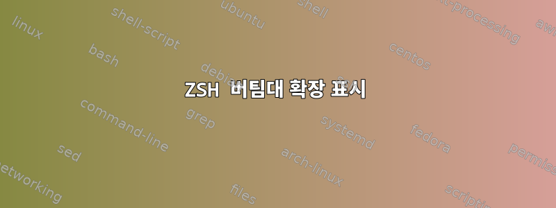 ZSH 버팀대 확장 표시