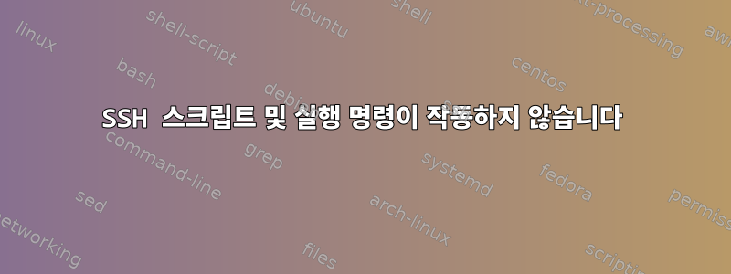 SSH 스크립트 및 실행 명령이 작동하지 않습니다