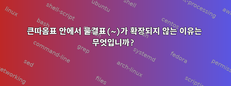 큰따옴표 안에서 물결표(~)가 확장되지 않는 이유는 무엇입니까?