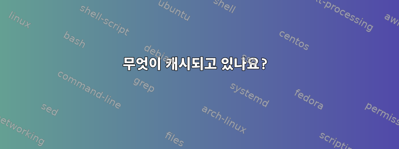 무엇이 캐시되고 있나요?