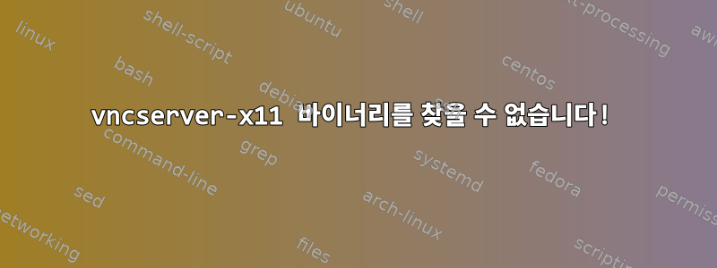 vncserver-x11 바이너리를 찾을 수 없습니다!