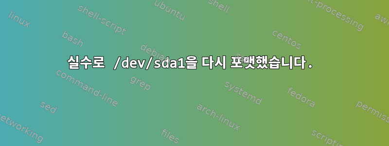 실수로 /dev/sda1을 다시 포맷했습니다.