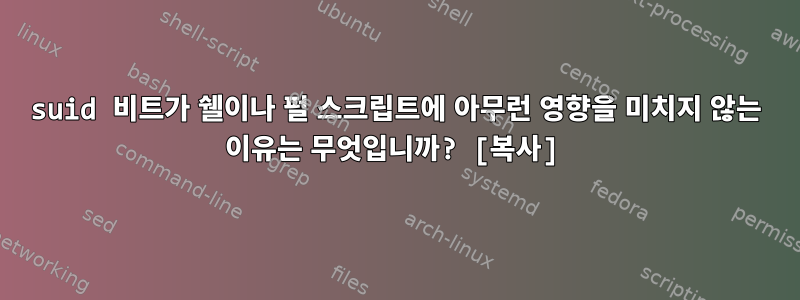 suid 비트가 쉘이나 펄 스크립트에 아무런 영향을 미치지 않는 이유는 무엇입니까? [복사]