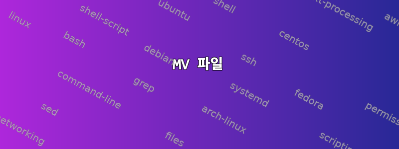 MV 파일