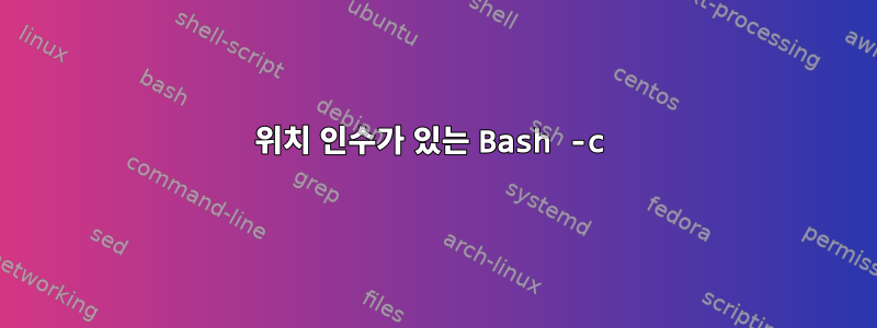 위치 인수가 있는 Bash -c