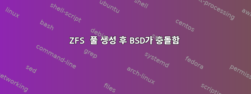 ZFS 풀 생성 후 BSD가 충돌함