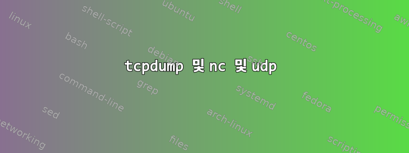 tcpdump 및 nc 및 udp