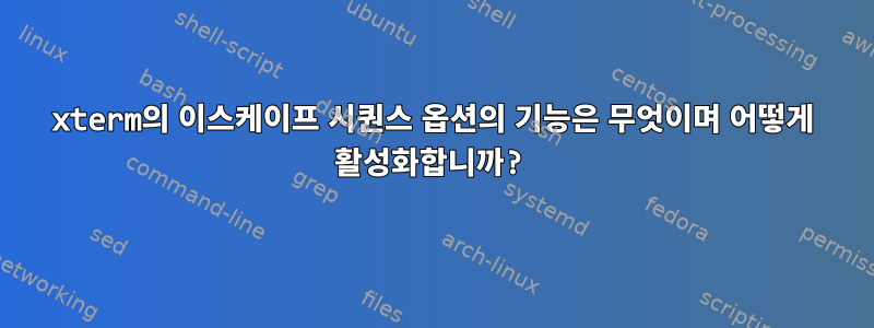 xterm의 이스케이프 시퀀스 옵션의 기능은 무엇이며 어떻게 활성화합니까?