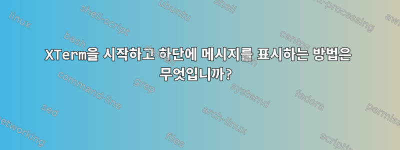 XTerm을 시작하고 하단에 메시지를 표시하는 방법은 무엇입니까?