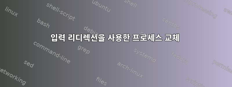 입력 리디렉션을 사용한 프로세스 교체