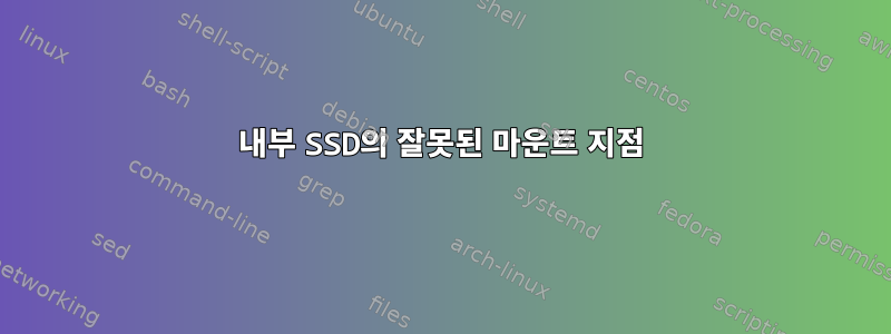 내부 SSD의 잘못된 마운트 지점