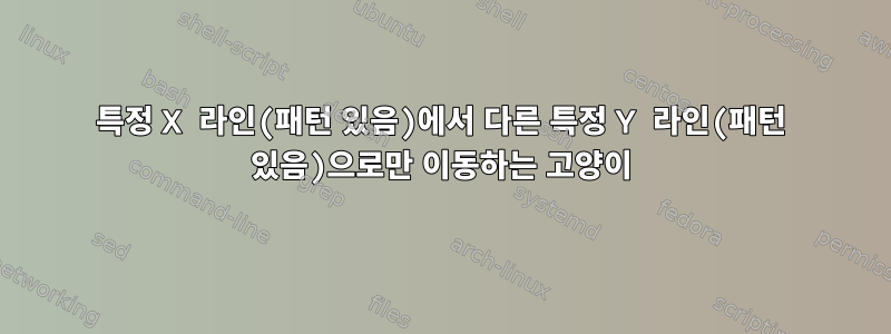 특정 X 라인(패턴 있음)에서 다른 특정 Y 라인(패턴 있음)으로만 이동하는 고양이