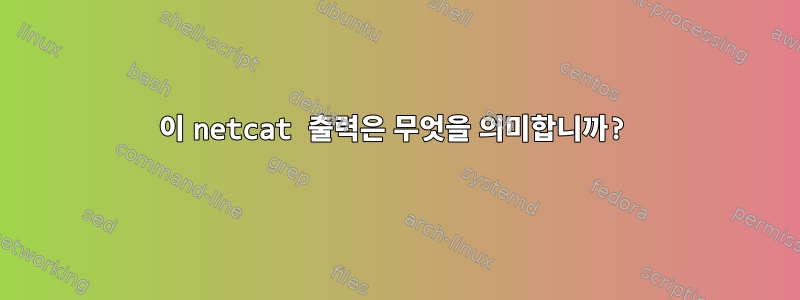 이 netcat 출력은 무엇을 의미합니까?