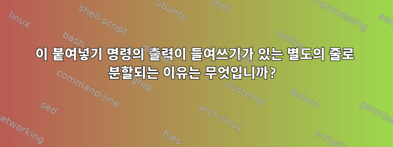 이 붙여넣기 명령의 출력이 들여쓰기가 있는 별도의 줄로 분할되는 이유는 무엇입니까?