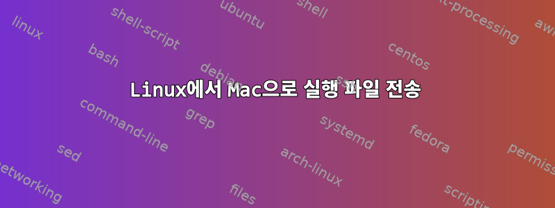 Linux에서 Mac으로 실행 파일 전송