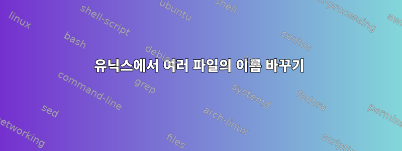 유닉스에서 여러 파일의 이름 바꾸기