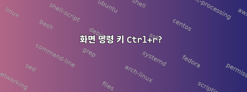 화면 명령 키 Ctrl+r?