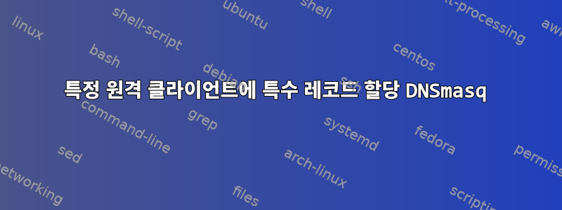 특정 원격 클라이언트에 특수 레코드 할당 DNSmasq