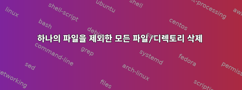 하나의 파일을 제외한 모든 파일/디렉토리 삭제