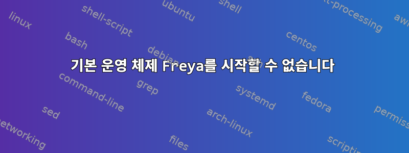 기본 운영 체제 Freya를 시작할 수 없습니다