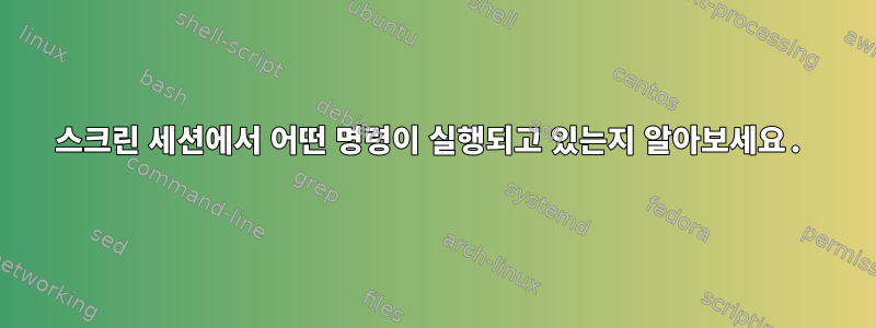 스크린 세션에서 어떤 명령이 실행되고 있는지 알아보세요.