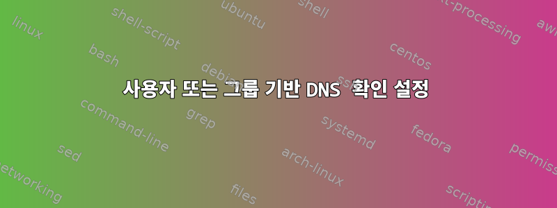 사용자 또는 그룹 기반 DNS 확인 설정