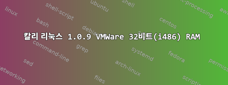 칼리 리눅스 1.0.9 VMWare 32비트(i486) RAM