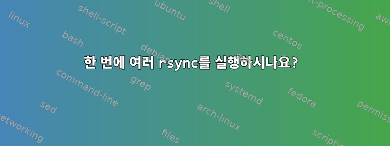 한 번에 여러 rsync를 실행하시나요?