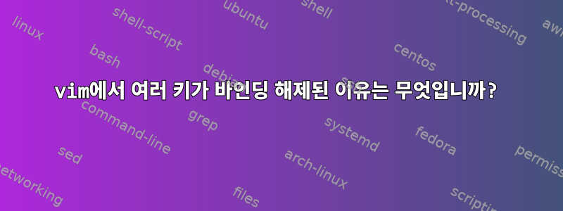 vim에서 여러 키가 바인딩 해제된 이유는 무엇입니까?