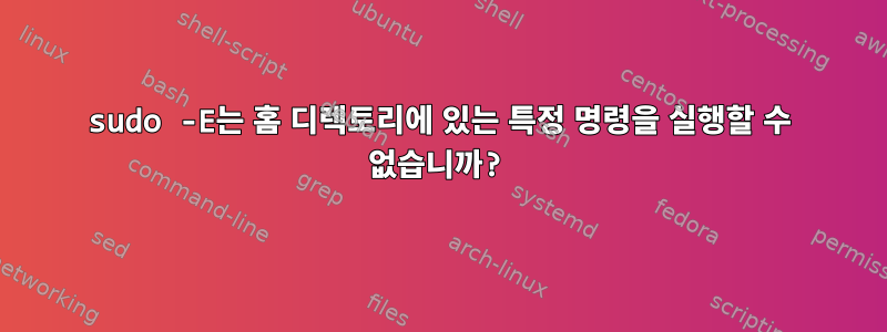 sudo -E는 홈 디렉토리에 있는 특정 명령을 실행할 수 없습니까?