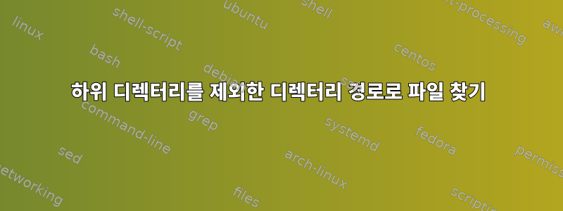 하위 디렉터리를 제외한 디렉터리 경로로 파일 찾기