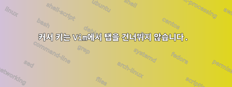 커서 키는 Vim에서 탭을 건너뛰지 않습니다.