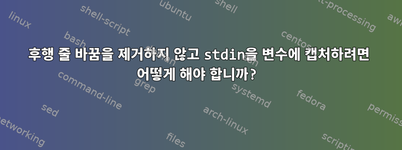 후행 줄 바꿈을 제거하지 않고 stdin을 변수에 캡처하려면 어떻게 해야 합니까?