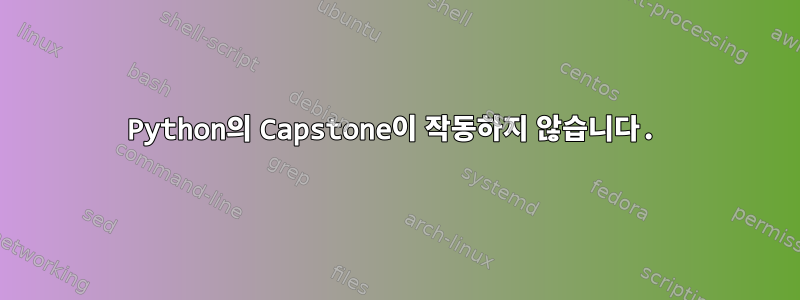 Python의 Capstone이 작동하지 않습니다.