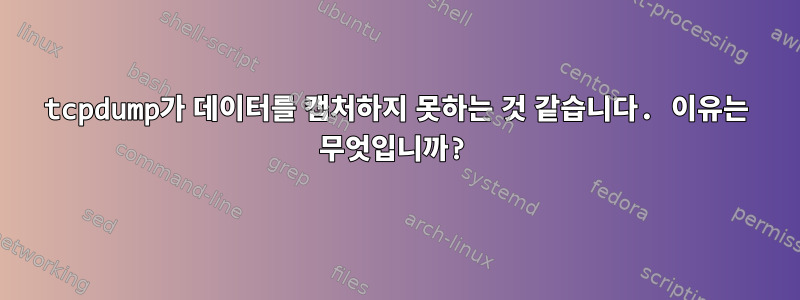 tcpdump가 데이터를 캡처하지 못하는 것 같습니다. 이유는 무엇입니까?