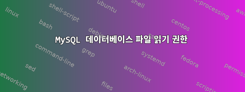 MySQL 데이터베이스 파일 읽기 권한