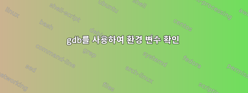 gdb를 사용하여 환경 변수 확인