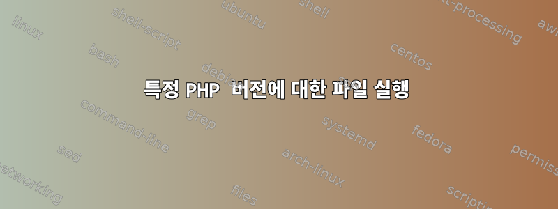 특정 PHP 버전에 대한 파일 실행