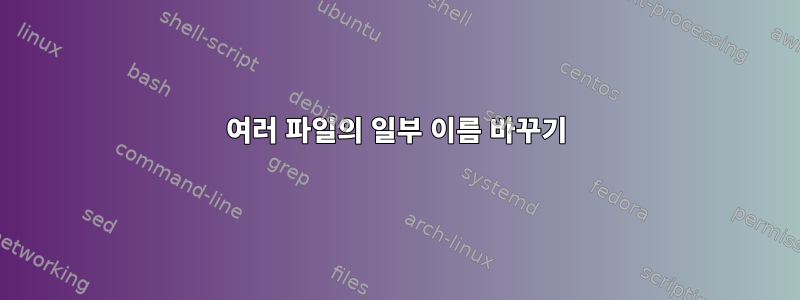 여러 파일의 일부 이름 바꾸기