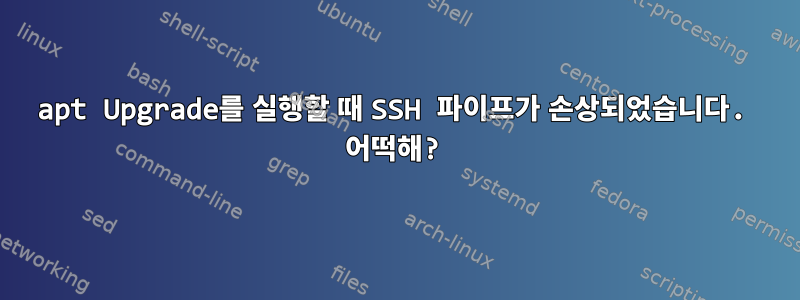 apt Upgrade를 실행할 때 SSH 파이프가 손상되었습니다. 어떡해?