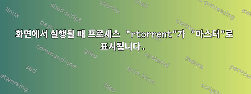 화면에서 실행될 때 프로세스 "rtorrent"가 "마스터"로 표시됩니다.