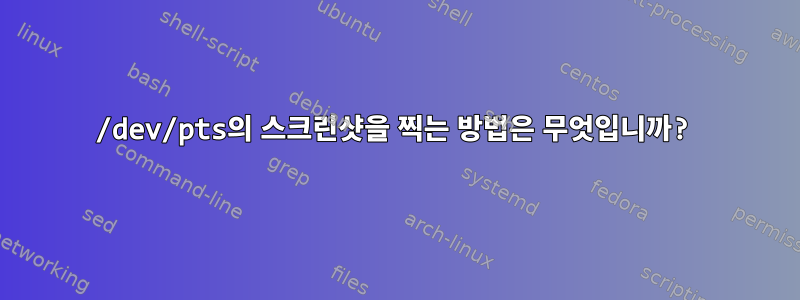 /dev/pts의 스크린샷을 찍는 방법은 무엇입니까?