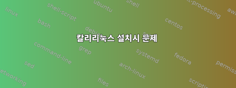 칼리리눅스 설치시 문제