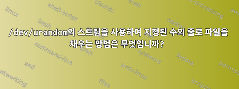 /dev/urandom의 스트림을 사용하여 지정된 수의 줄로 파일을 채우는 방법은 무엇입니까?