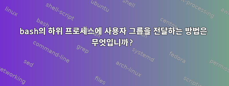 bash의 하위 프로세스에 사용자 그룹을 전달하는 방법은 무엇입니까?